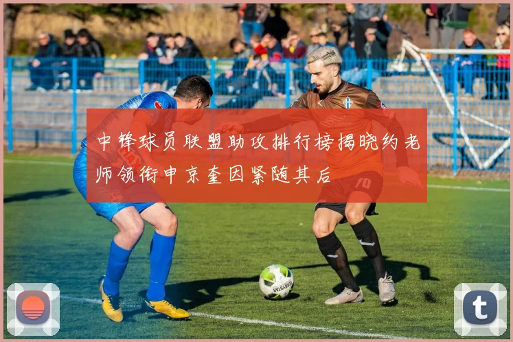 中锋球员联盟助攻排行榜揭晓约老师领衔申京奎因紧随其后