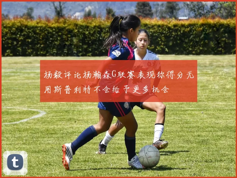 杨毅评论杨瀚森G联赛表现称得分无用斯普利特不会给予更多机会